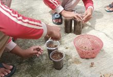 Tangan-tangan santri PPTQ Shirathun Najah sedang memasukkan bibit rimpang ke dalam gelas plastik bekas yang dijadikan pot tanaman apotek hidup dalam kegiatan Green Ramadhan di Polokarto.