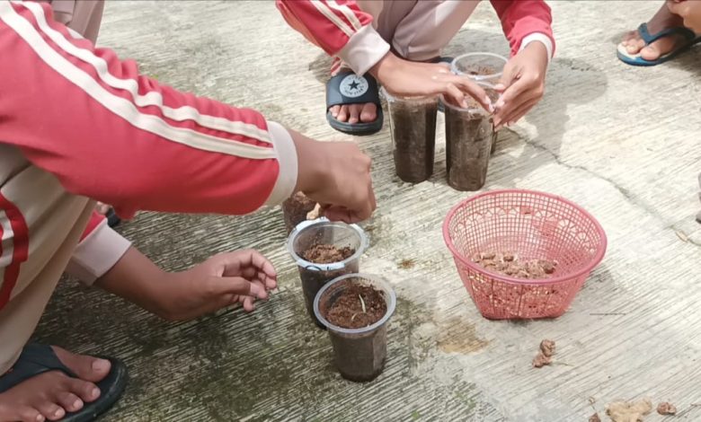 Tangan-tangan santri PPTQ Shirathun Najah sedang memasukkan bibit rimpang ke dalam gelas plastik bekas yang dijadikan pot tanaman apotek hidup dalam kegiatan Green Ramadhan di Polokarto.
