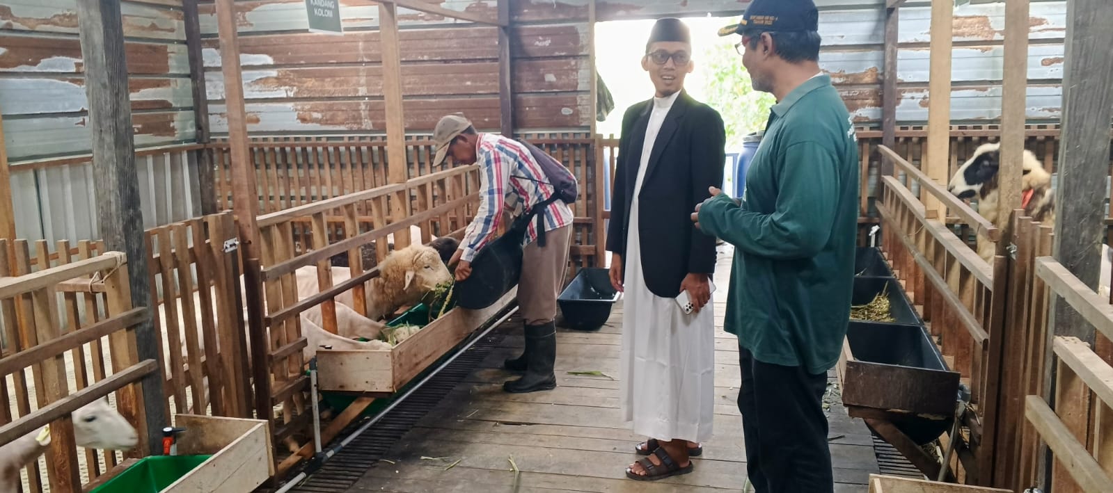 Program peternakan domba dipilih sebagai instrumen awal karena memiliki nilai ekonomis yang jelas.Selain itu, sektor peternakan dinilai memiliki peluang pertumbuhan tinggi di Kalimantan Timur. Abdul Qasim menjelaskan bahwa MPW PWM Kaltim tidak sekadar mendorong penghimpunan wakaf uang, tetapi juga memastikan tata kelola dilakukan secara akuntabel dan transparan.