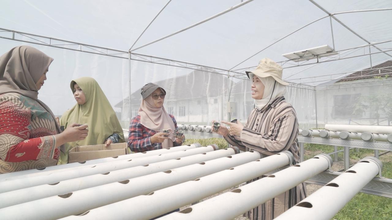 Tim Dosen UMS Kembangkan Pertanian Terpadu Berbasis Greenhouse Hidroponik Tenaga Surya untuk Kemandirian Pangan KWT di Sukoharjo